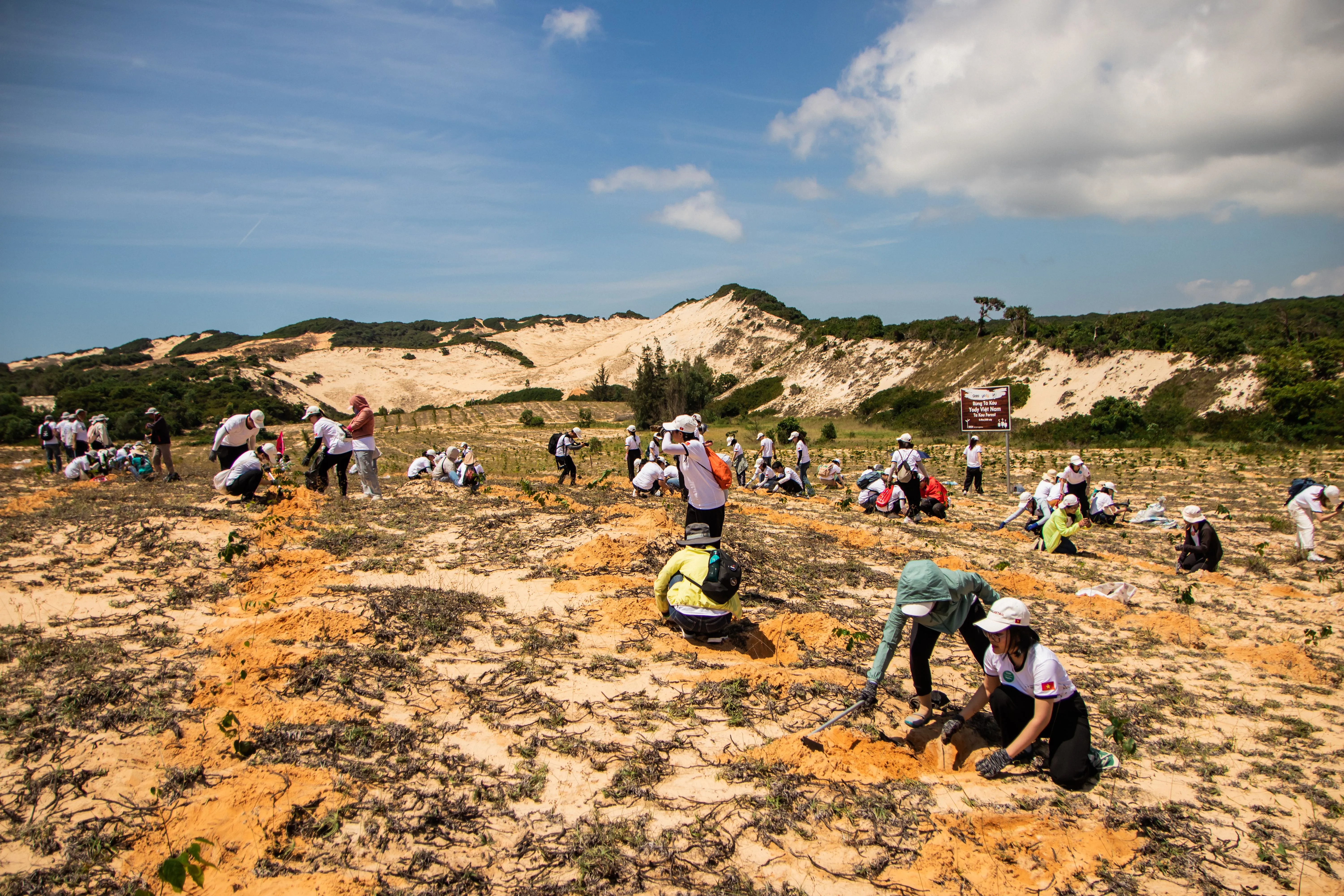 Community-based forest conservation