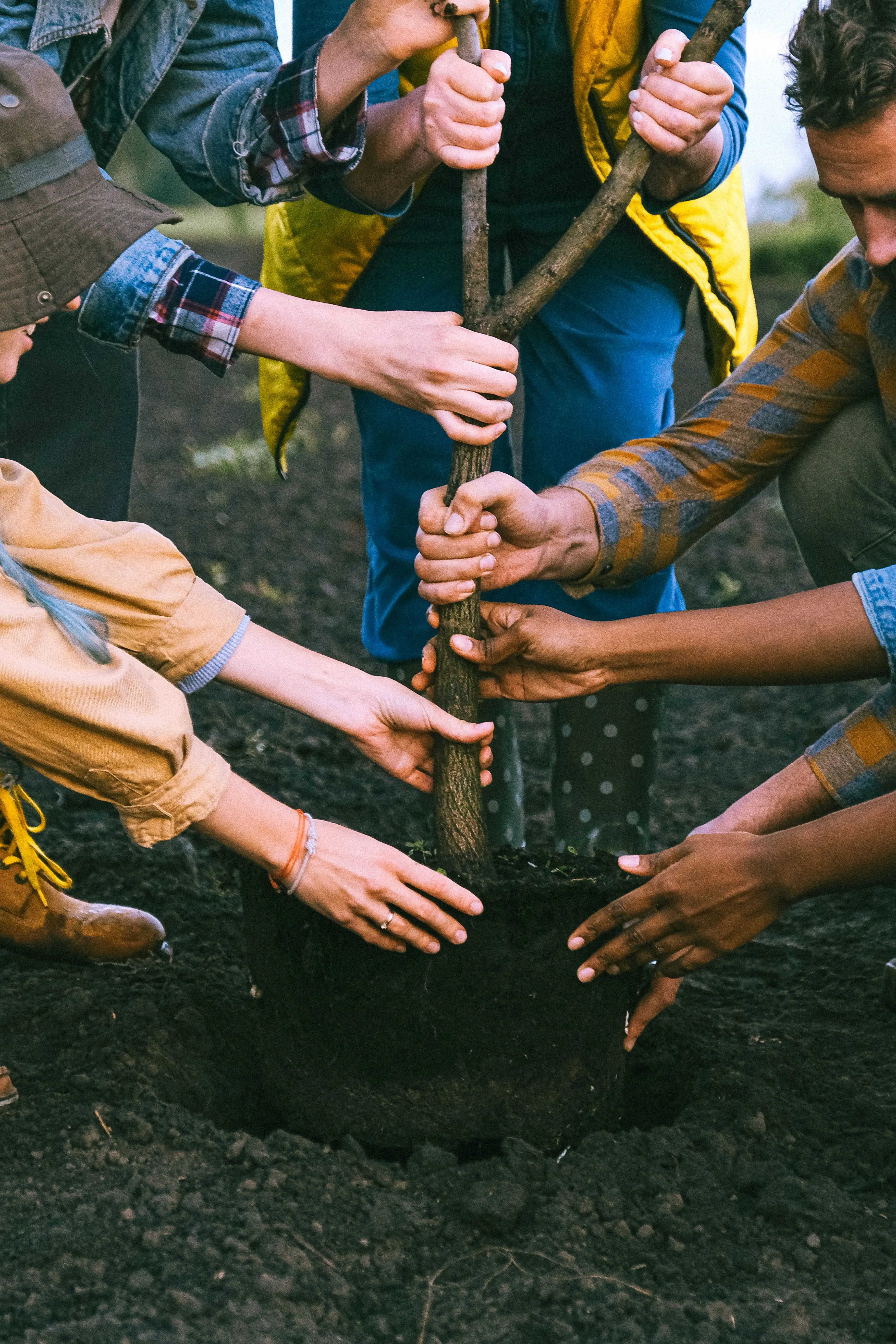 Local environmental stewardship