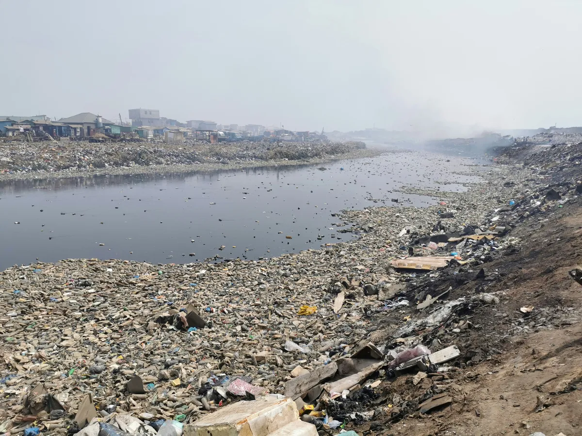 Environment & Sustainability