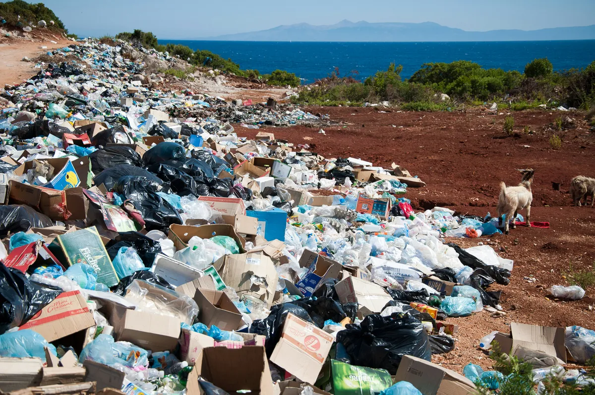 Environment & Sustainability